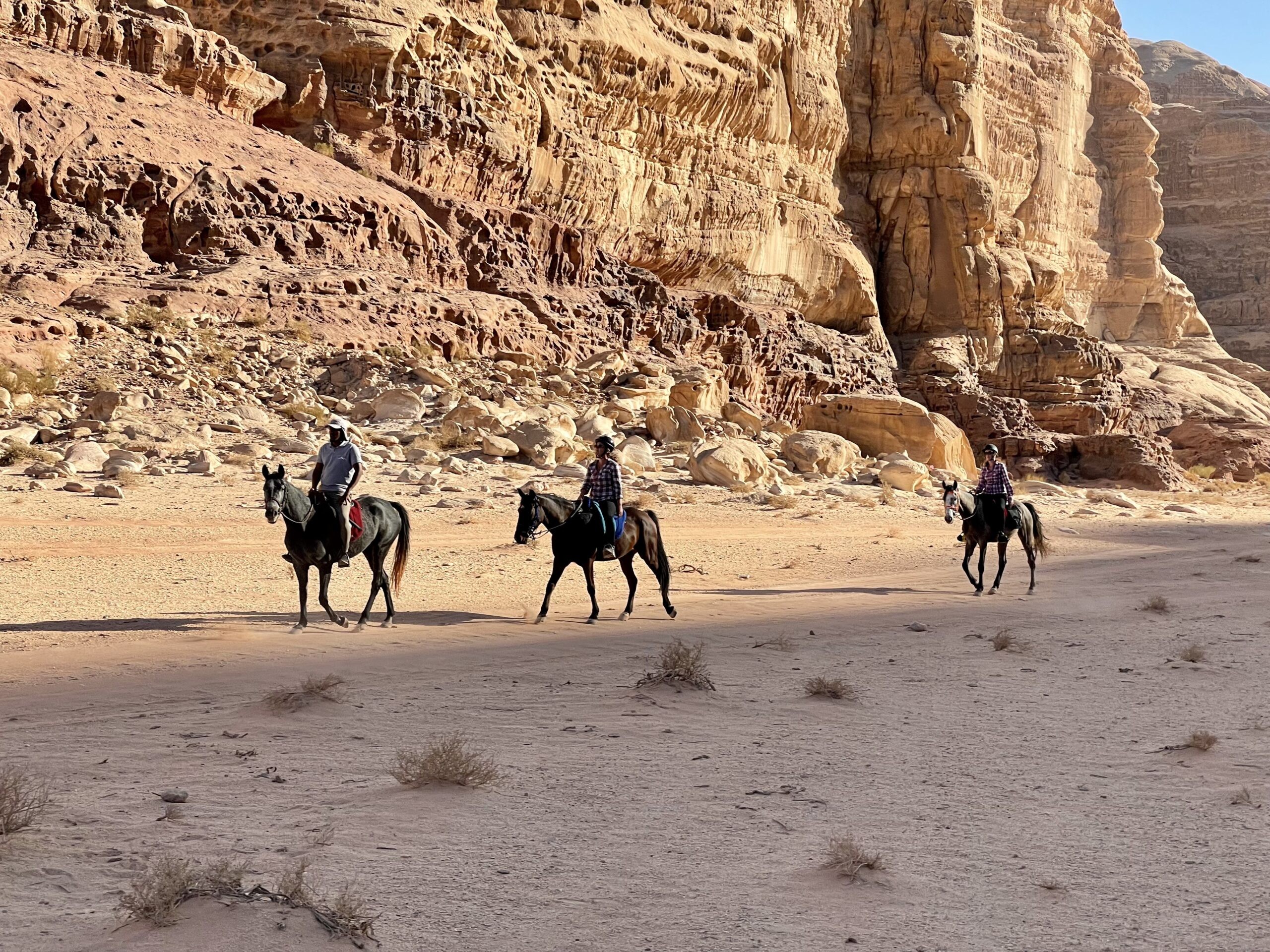 Gal-wadi-rum-horse-riding-4-scaled-7967