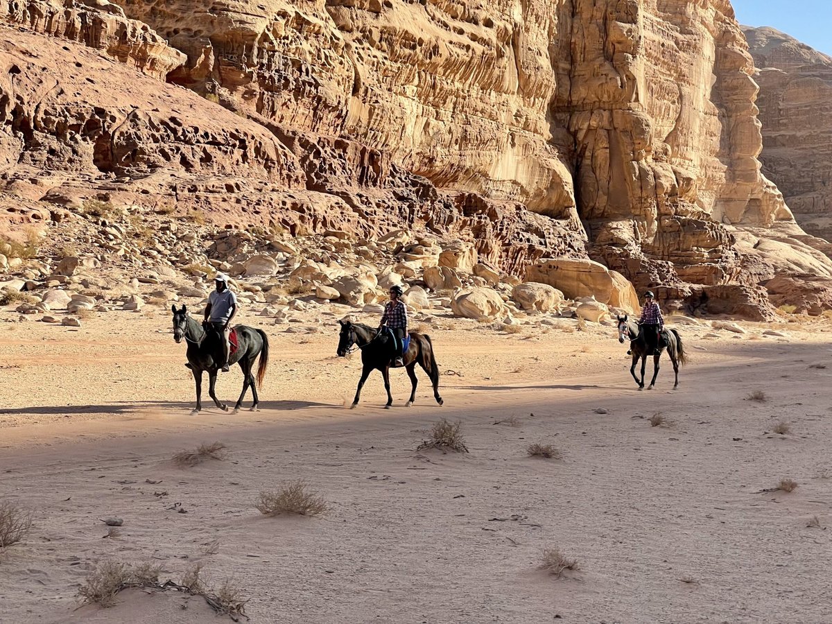 Gal-wadi-rum-horse-riding-4-scaled-7967