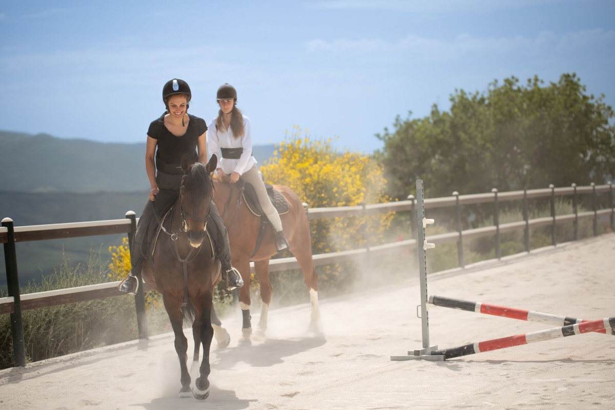 RIDING-LESSONS-9464