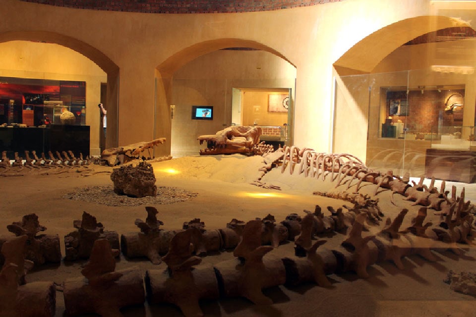 Wadi-Al-Hitan-theValley-of-the-Whales3